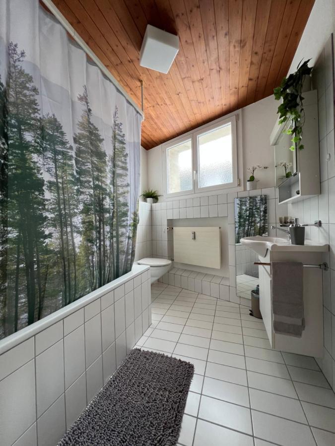 Ferienwohnung Dorfzentrum Disentis Eksteriør billede
